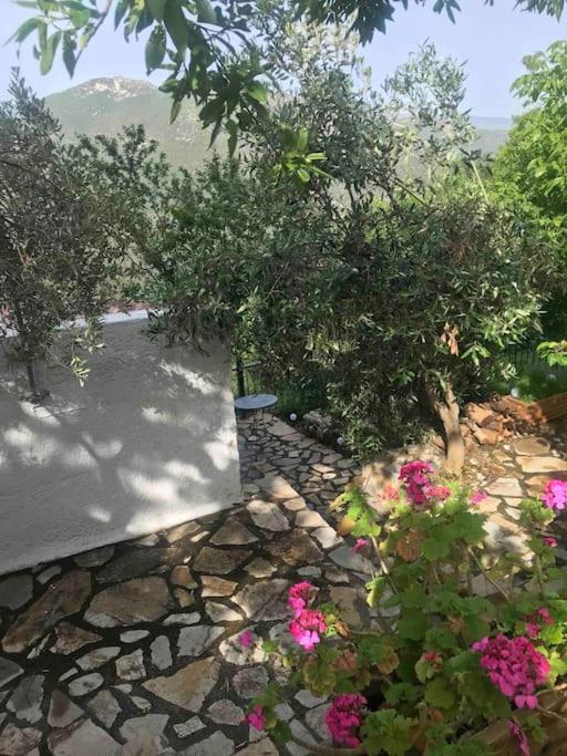 Theisoa.Old Little House In The Garden . Andritsaina. Andrítsaina Exterior foto